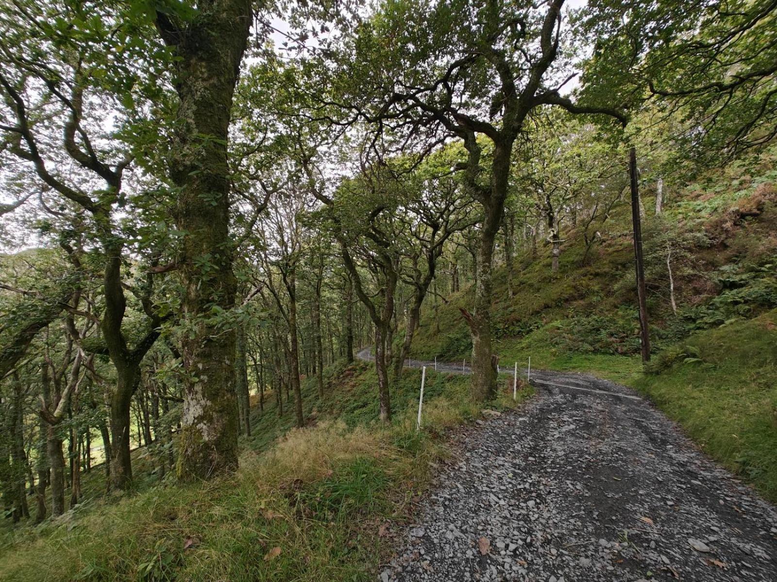 Pandy Farmhouse - Panoramic Mountain Views Within Snowdonia'S National Park - 4X4 Recommended ดอลเกซเซย์ ภายนอก รูปภาพ