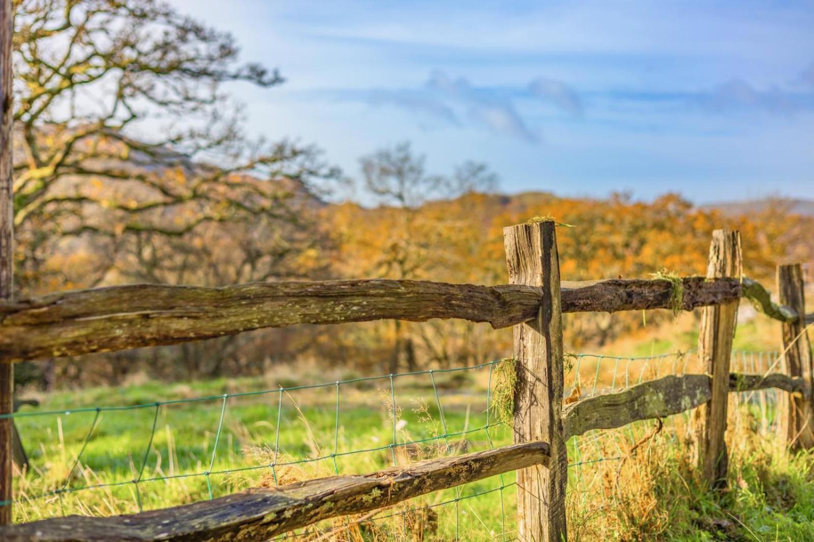 Pandy Farmhouse - Panoramic Mountain Views Within Snowdonia'S National Park - 4X4 Recommended ดอลเกซเซย์ ภายนอก รูปภาพ